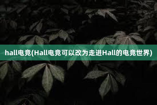 hall电竞(Hall电竞可以改为走进Hall的电竞世界)