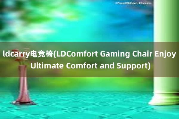 ldcarry电竞椅(LDComfort Gaming Chair Enjoy Ultimate Comfort and Support)