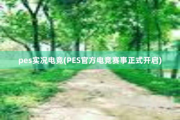 pes实况电竞(PES官方电竞赛事正式开启)