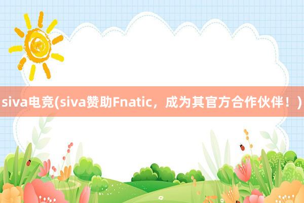 siva电竞(siva赞助Fnatic，成为其官方合作伙伴！)