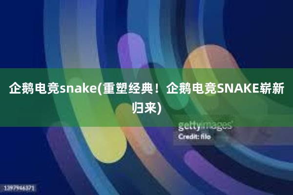 企鹅电竞snake(重塑经典！企鹅电竞SNAKE崭新归来)