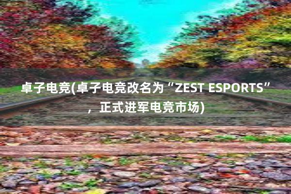 卓子电竞(卓子电竞改名为“ZEST ESPORTS”，正式进军电竞市场)