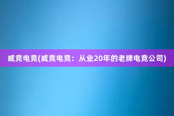 威竞电竞(威竞电竞：从业20年的老牌电竞公司)