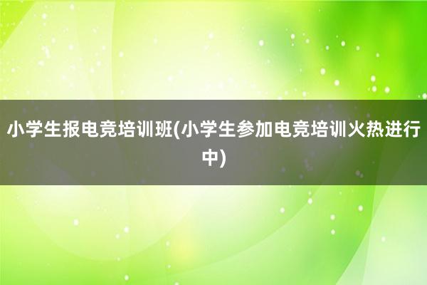 小学生报电竞培训班(小学生参加电竞培训火热进行中)