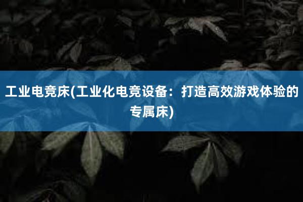 工业电竞床(工业化电竞设备：打造高效游戏体验的专属床)