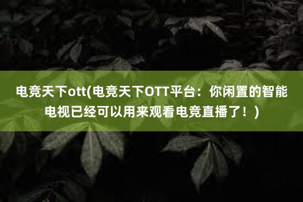 电竞天下ott(电竞天下OTT平台：你闲置的智能电视已经可以用来观看电竞直播了！)