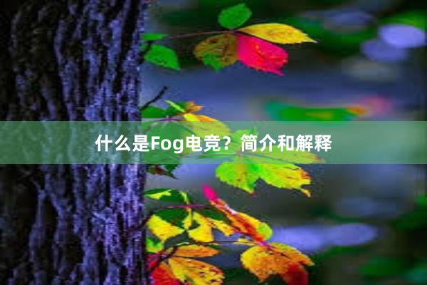 什么是Fog电竞？简介和解释