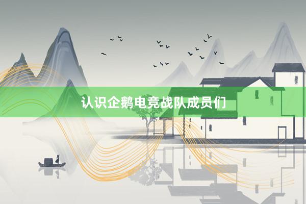 认识企鹅电竞战队成员们