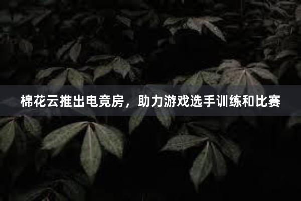 棉花云推出电竞房，助力游戏选手训练和比赛