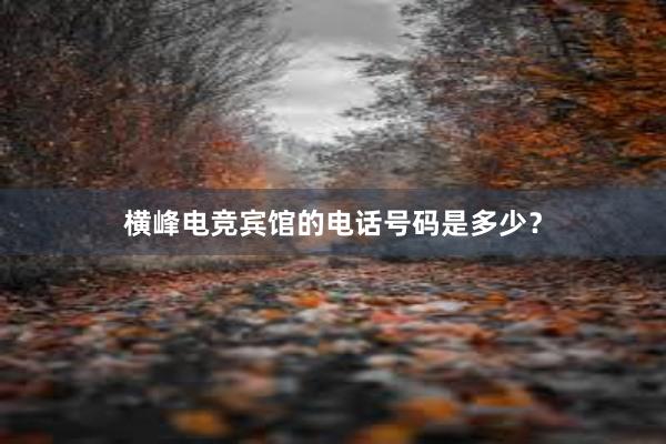 横峰电竞宾馆的电话号码是多少？