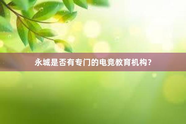 永城是否有专门的电竞教育机构？