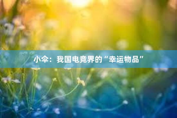 小伞：我国电竞界的“幸运物品”