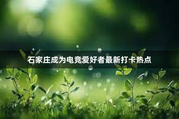 石家庄成为电竞爱好者最新打卡热点