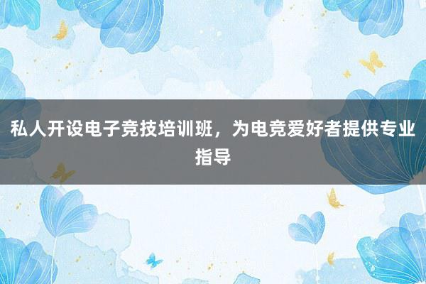 私人开设电子竞技培训班，为电竞爱好者提供专业指导