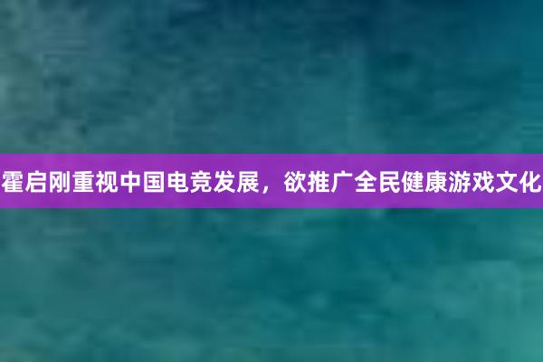 霍启刚重视中国电竞发展，欲推广全民健康游戏文化