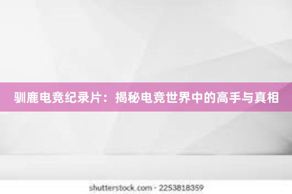 驯鹿电竞纪录片：揭秘电竞世界中的高手与真相